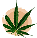 Achat CBD en ligne Bergerac Dordogne- Madame CBD - cannabis-leaf_icon
