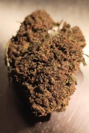 Achat CBD en ligne Bergerac Dordogne- Madame CBD - Queen Harlequin 1